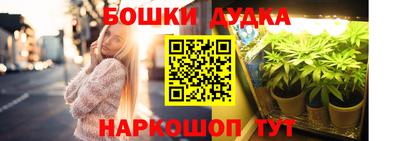 ГАЛЛЮЦИНОГЕННЫЕ ГРИБЫ Нарткала