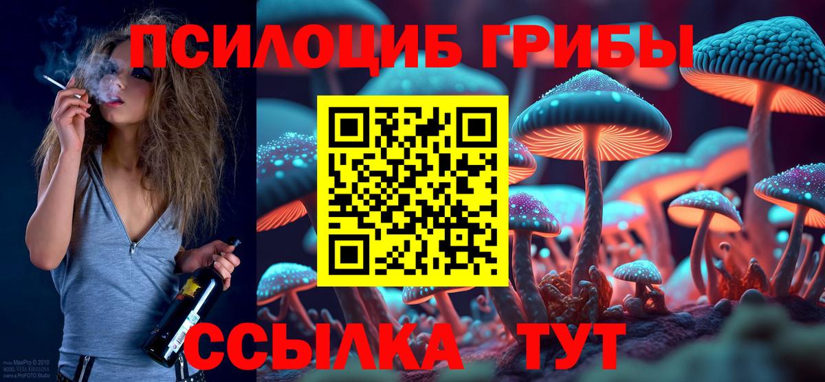 Галлюциногенные грибы Psilocybe Алатырь